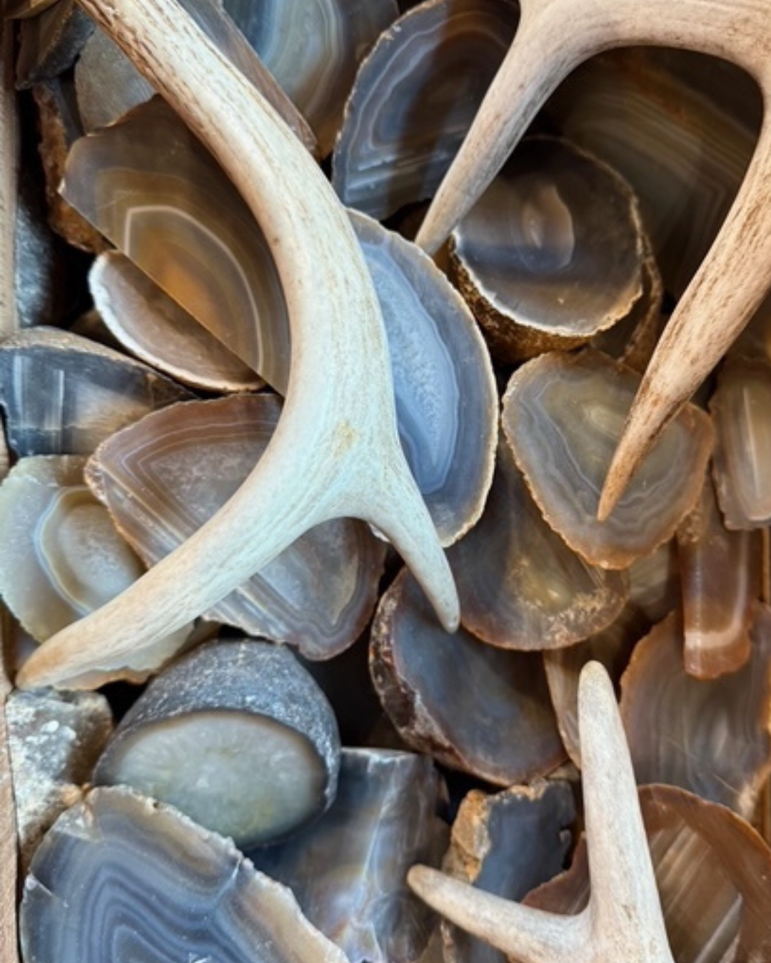 Natural rock jewelry display with deer antlers, showcasing a rustic Northwoods aesthetic.